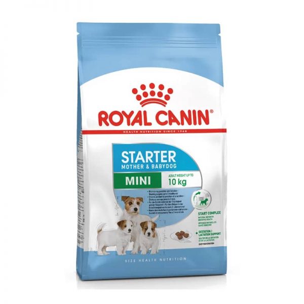 ROYAL CANIN MINI STARTER M&B 1 KG
